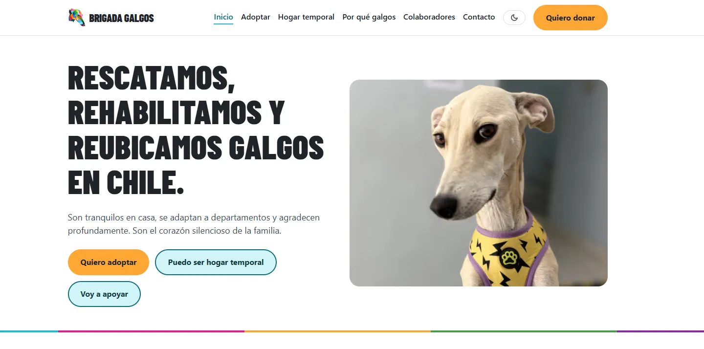 Sitio brigadagalgos.cl con presentación clara de causa y contacto